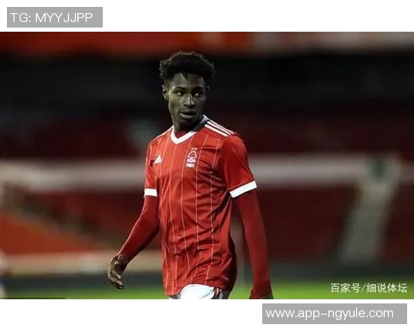 探寻索博斯洛伊的历史魅力与文化传承之旅 探寻索博斯洛伊的历史魅力与文化传承之旅